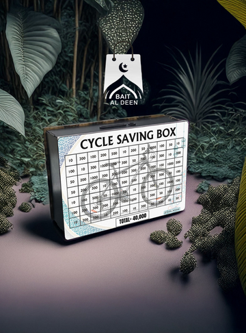 Cycle Saving Box - 40000 Rupees
