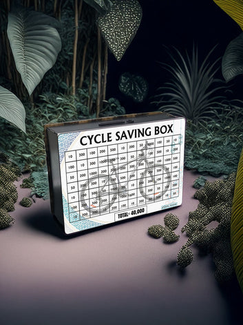 Cycle Saving Box - 40000 Rupees